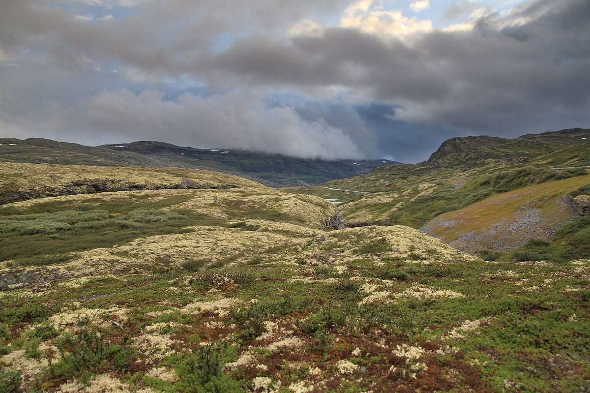 Landschap van upper Tyedalen
